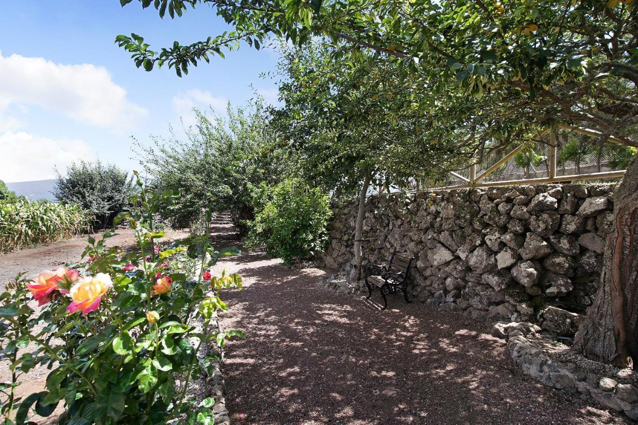 Finca Las Carmenes إيكود ذي لوس فينوس المظهر الخارجي الصورة